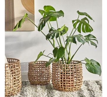 Water Hyacinth Basket