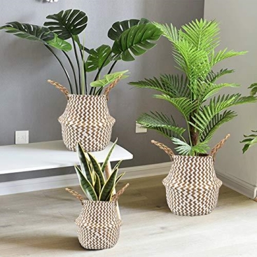 Seagrass Plant Baskets